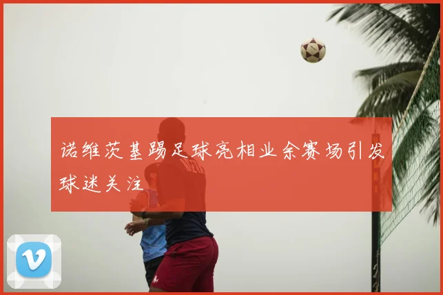 诺维茨基踢足球亮相业余赛场引发球迷关注