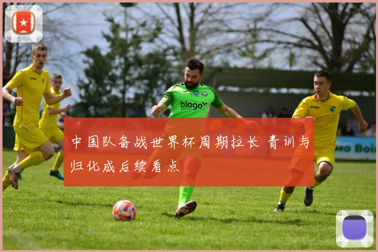 中国队备战世界杯周期拉长 青训与归化成后续看点