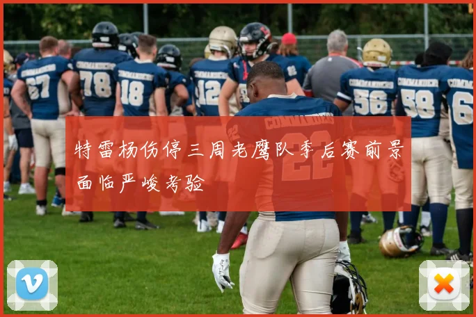 特雷杨伤停三周老鹰队季后赛前景面临严峻考验